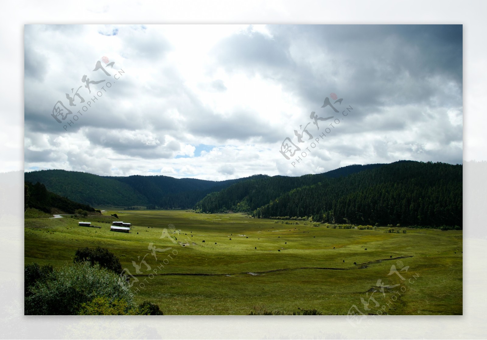 普达措国家公园图片