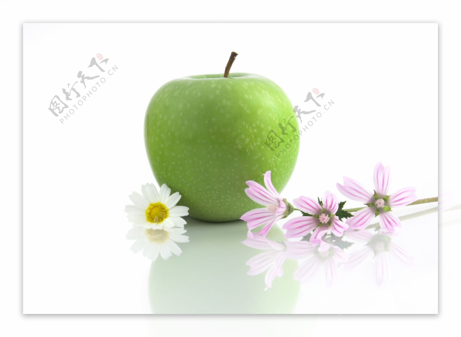 青苹果花卉高清图片素材下载