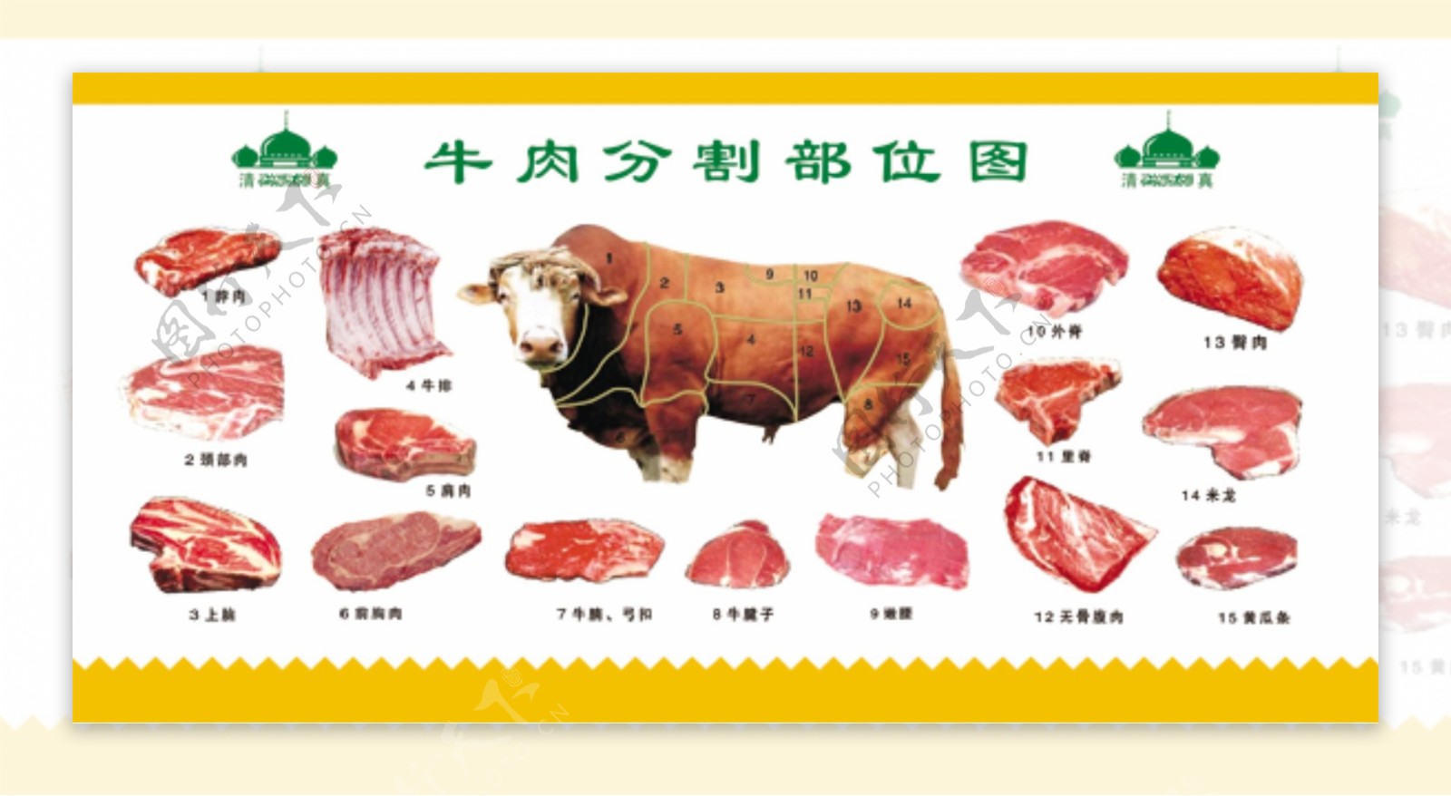 牛肉分割图