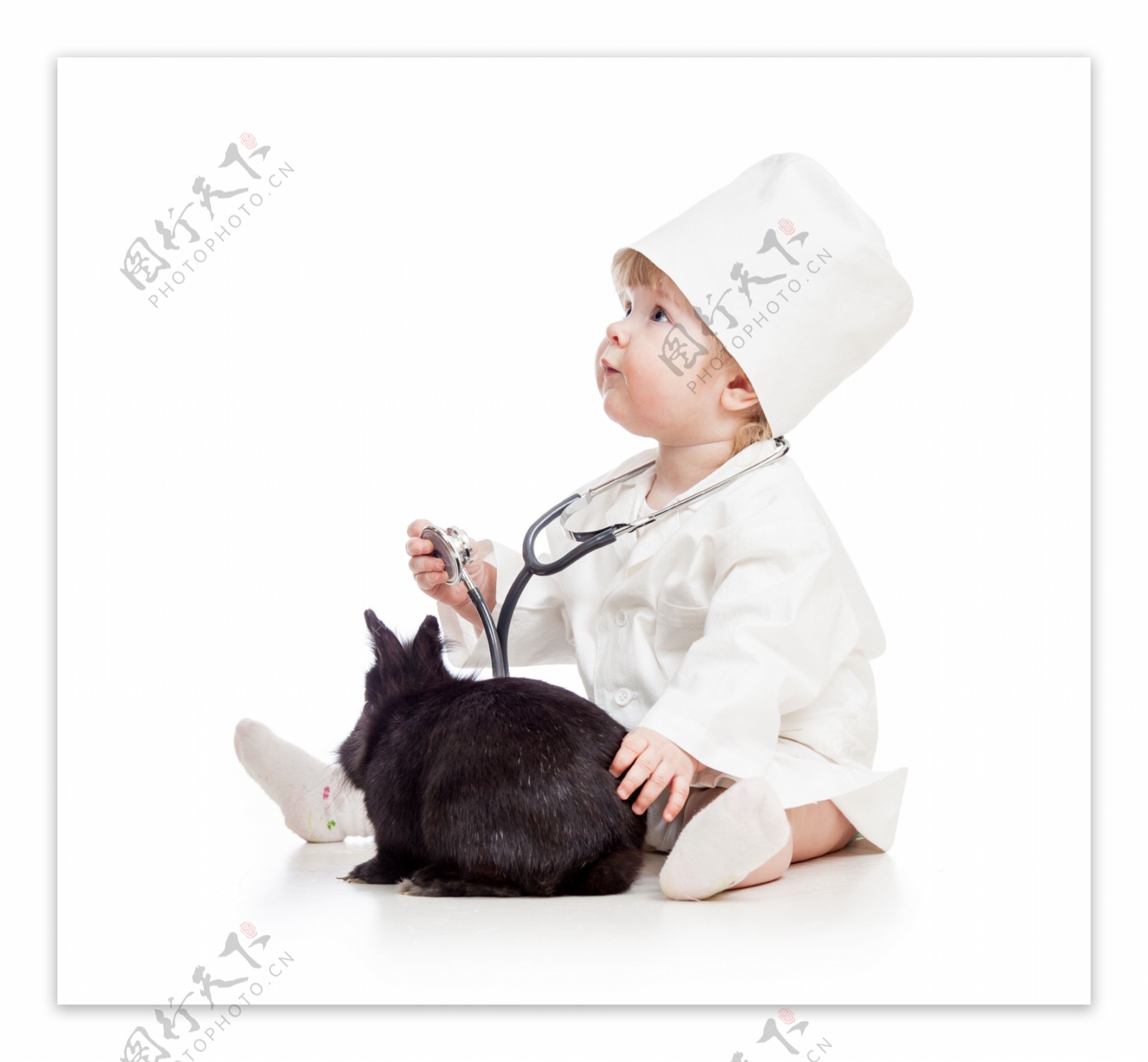 婴儿医生与动物图片