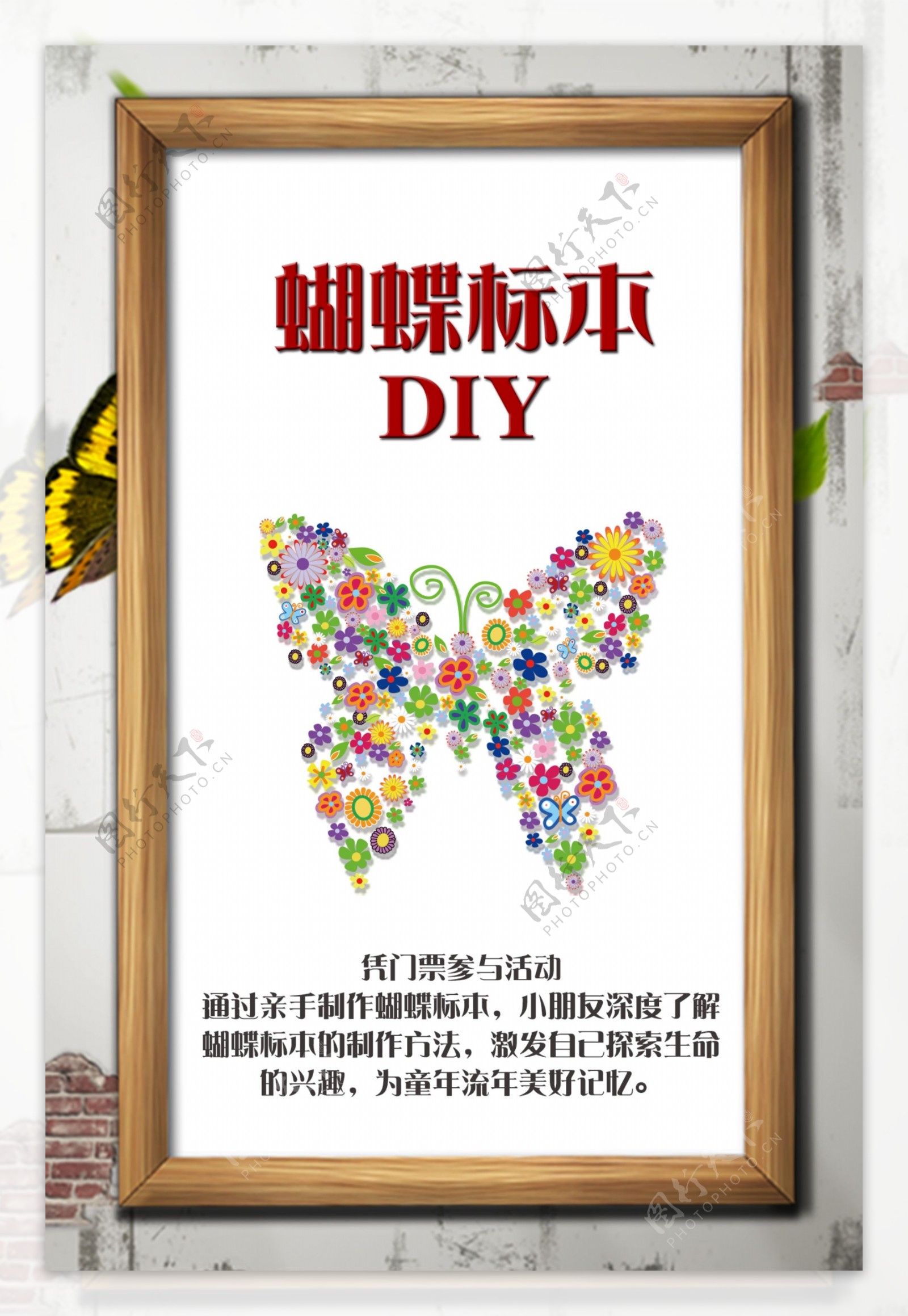 蝴蝶标本DIY指示牌