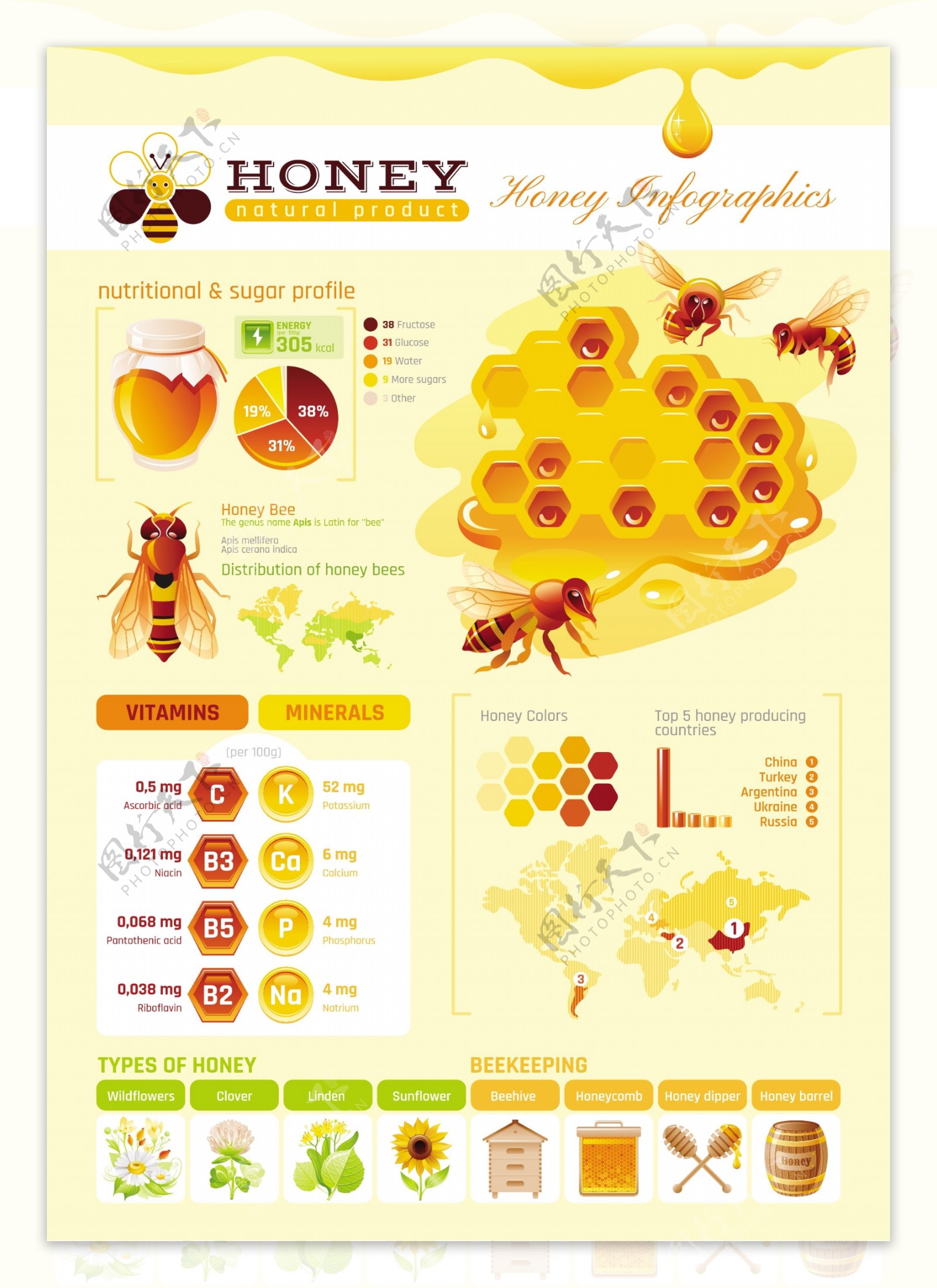 蜂蜜营养信息图表