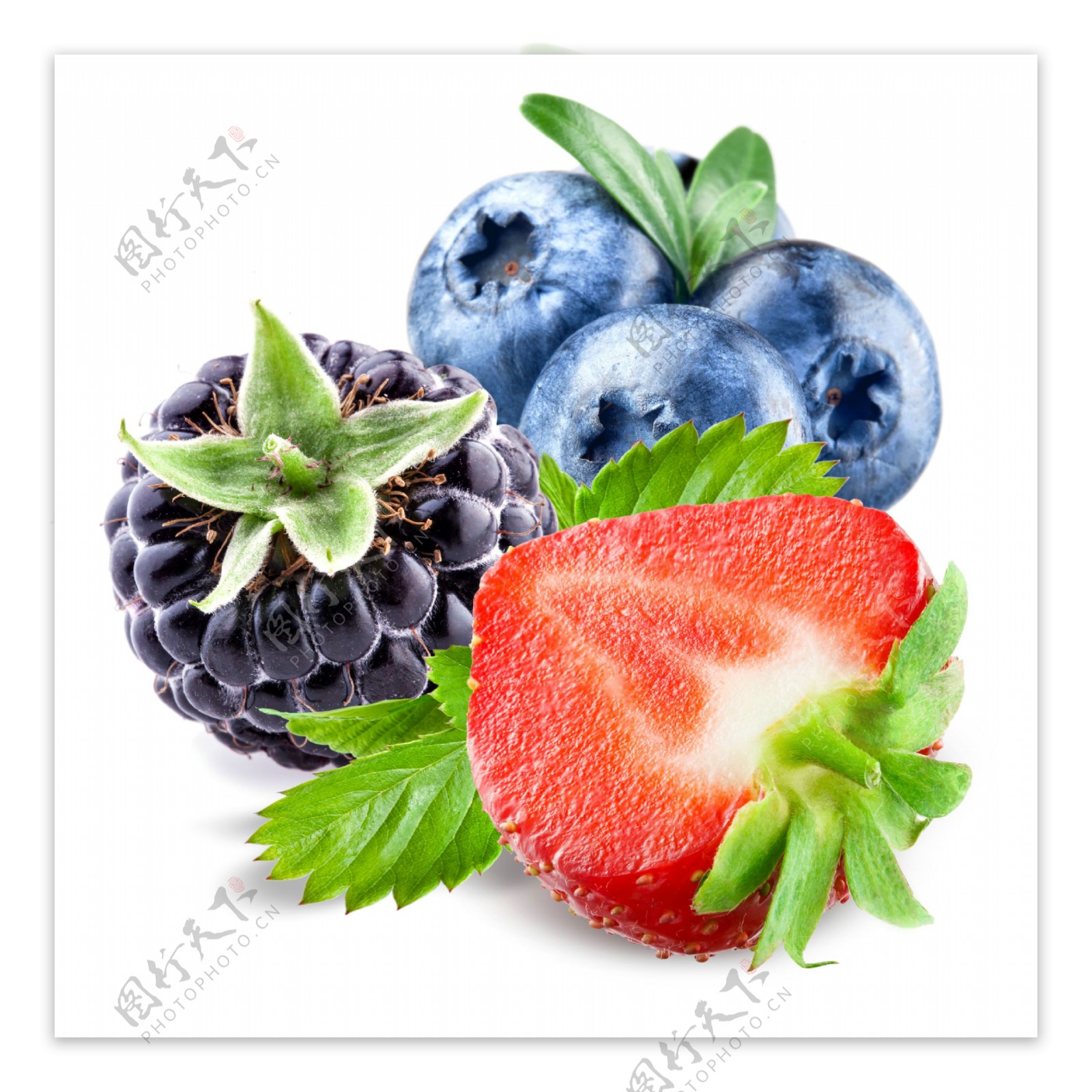 桑葚草莓蓝莓
