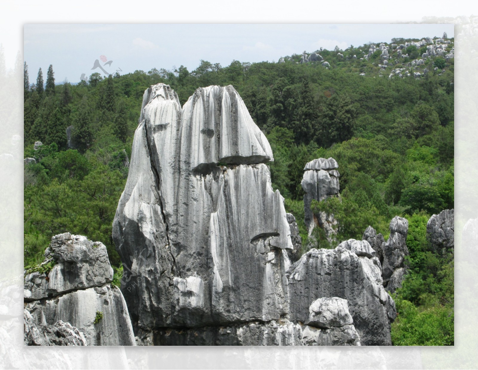 石林风景图片