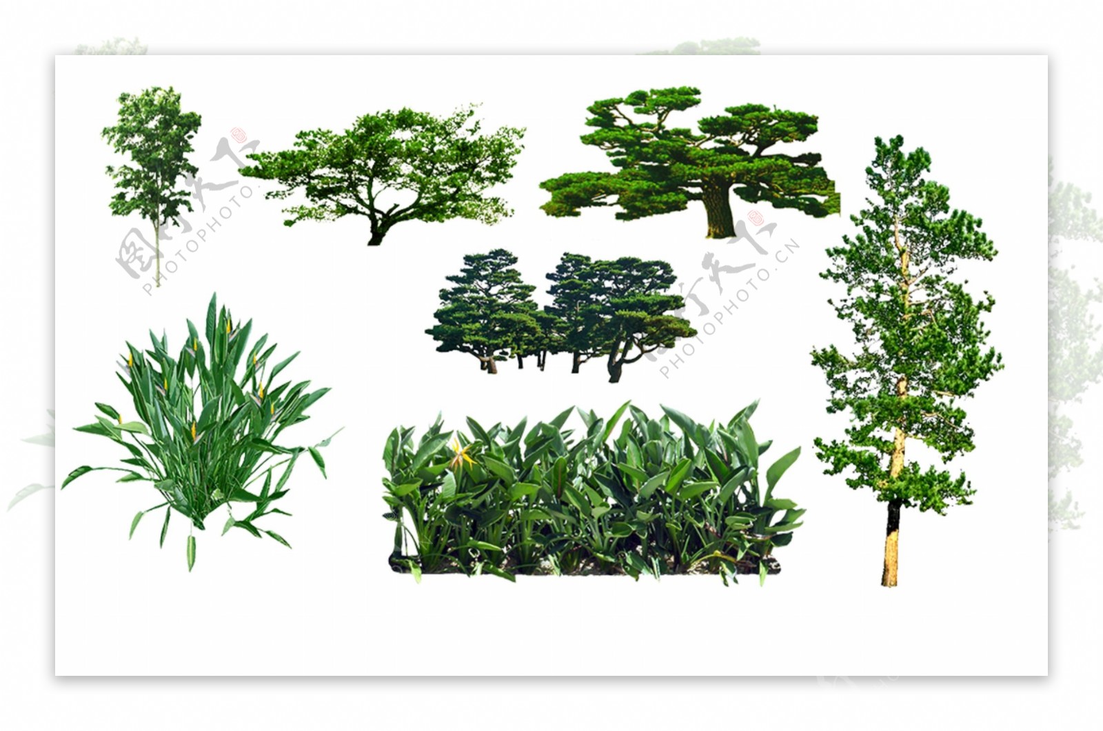 灌木景观素材景观素材psd分层源文件下载