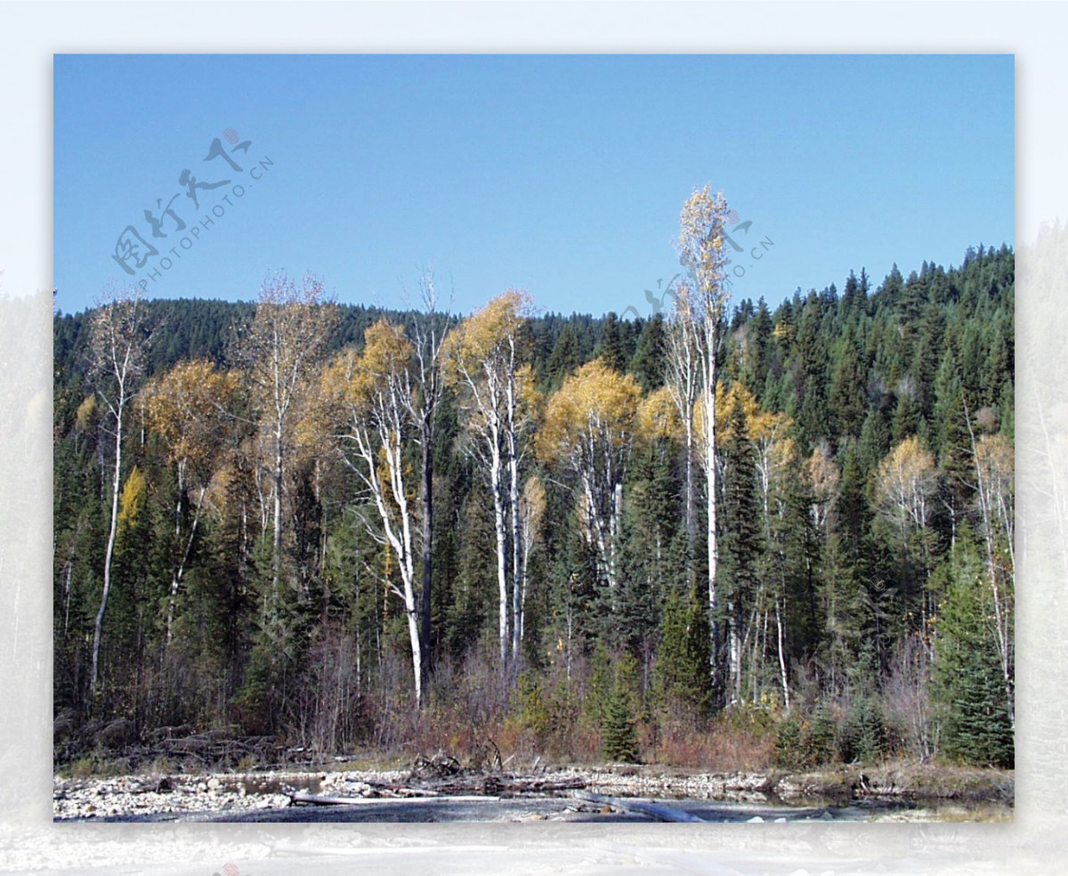山区草木自然风景贴图素材JPG0224
