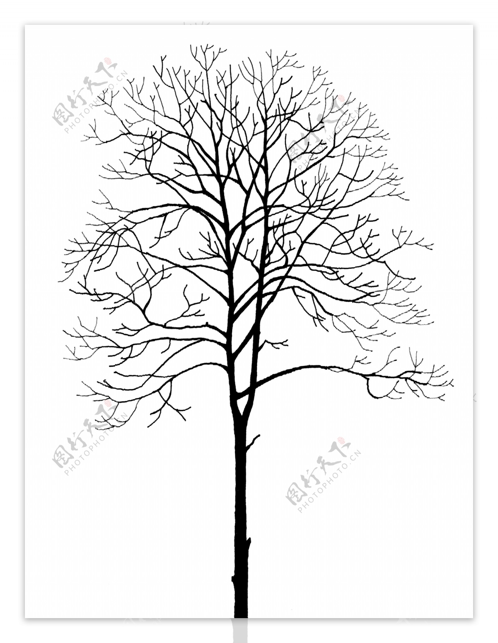 树贴图素材分层PSD108