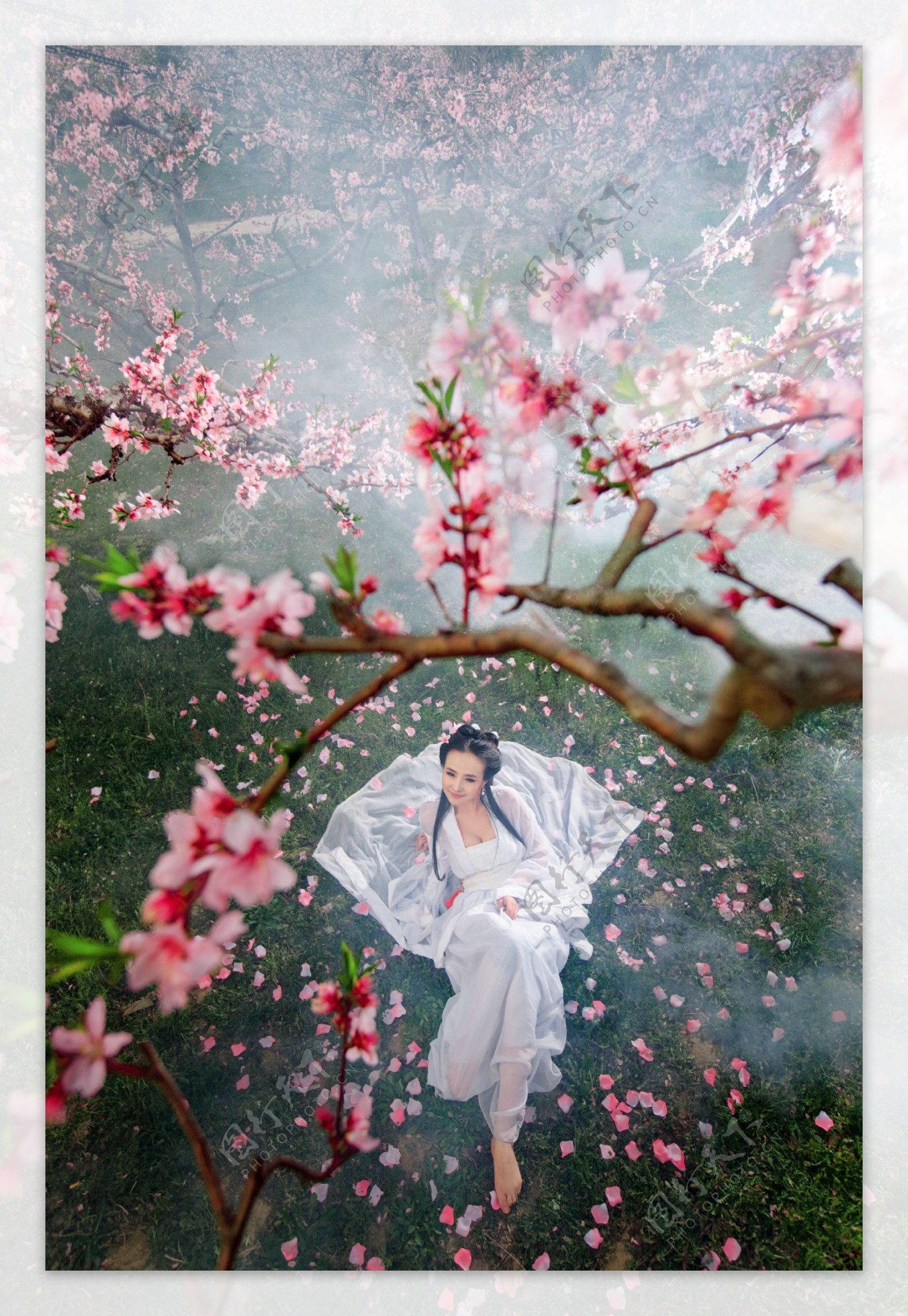 桃花树下的与美女图片