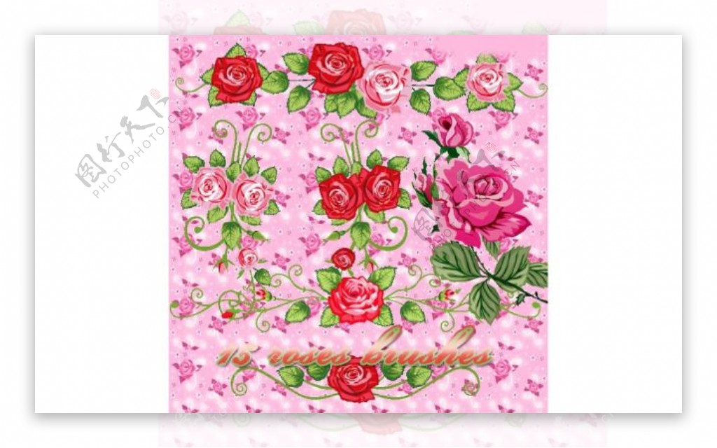 时尚绚丽的玫瑰花装饰笔刷