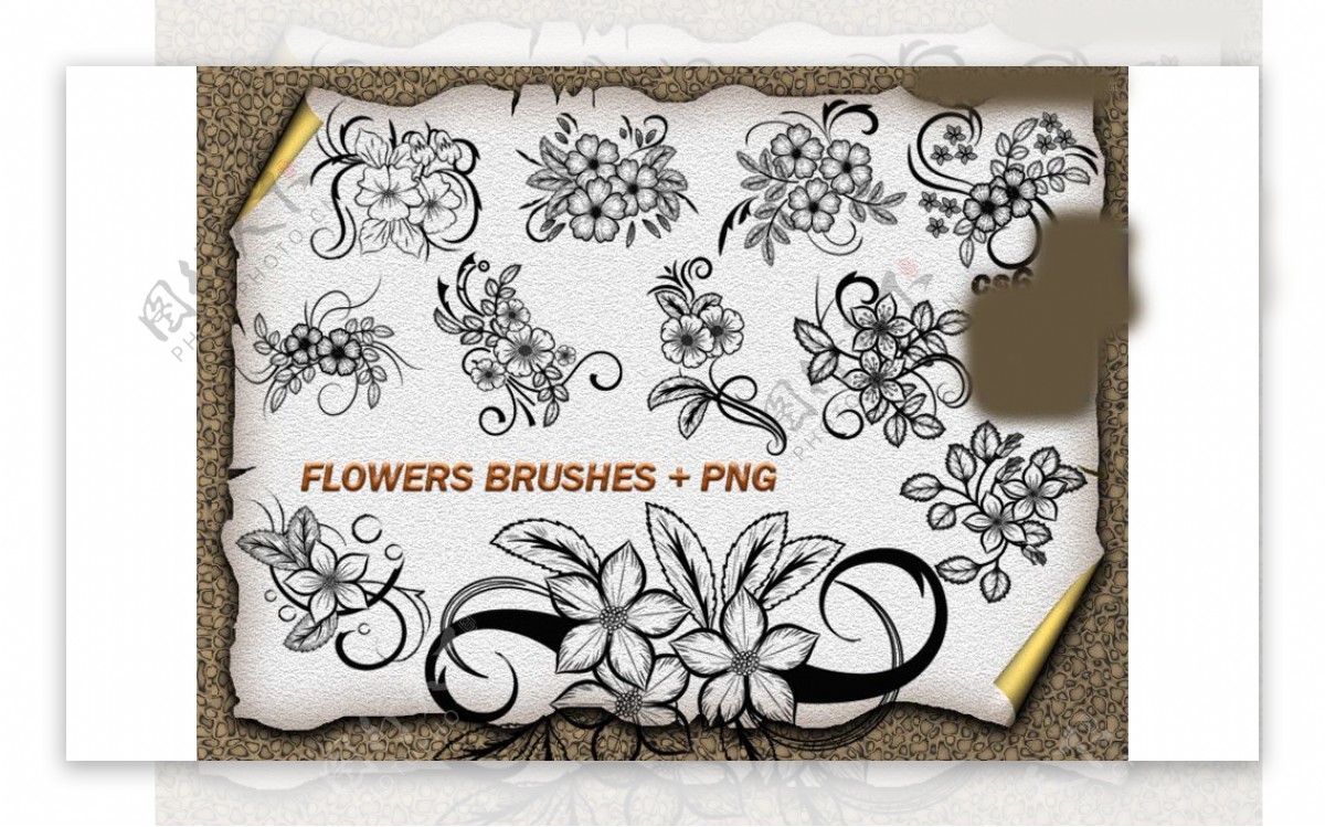 时尚的手绘花朵藤蔓效果PS笔刷
