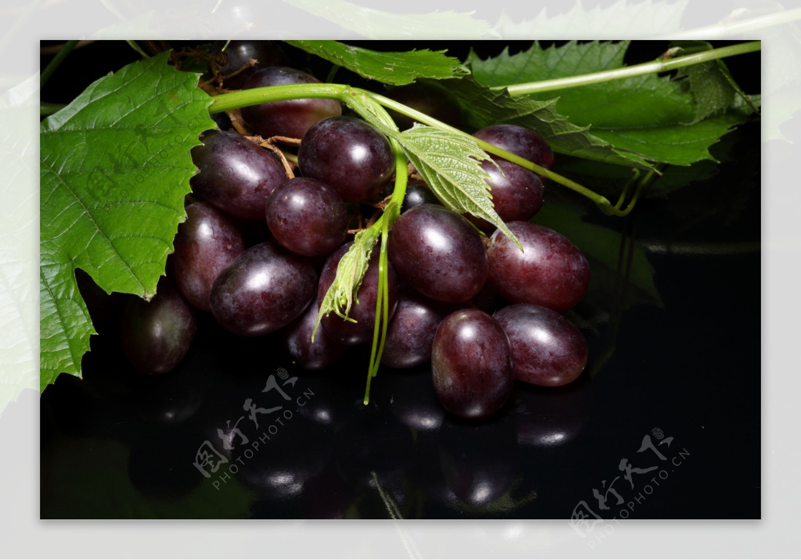 新鲜葡萄摄影图片