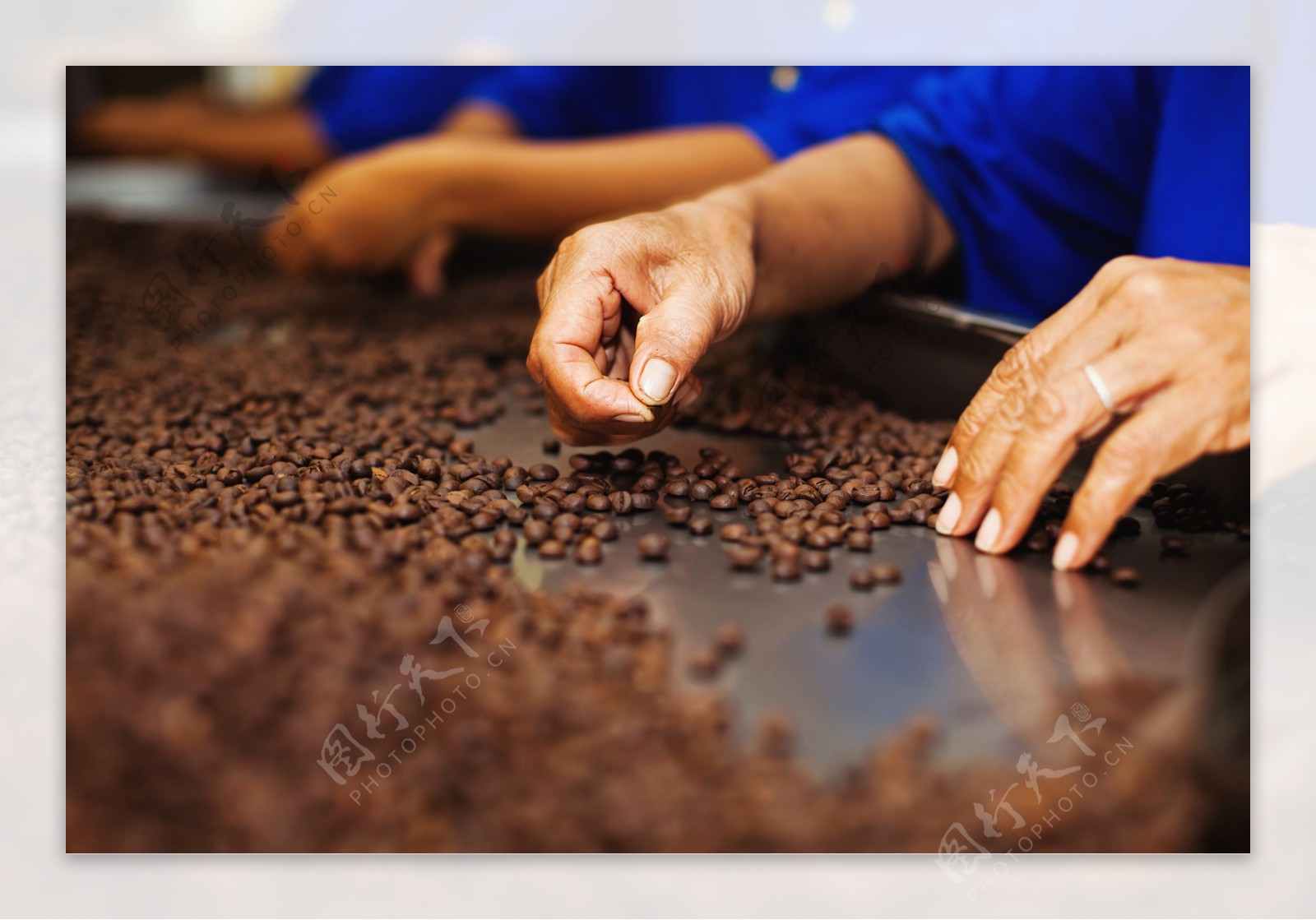 精选咖啡豆的男人图片