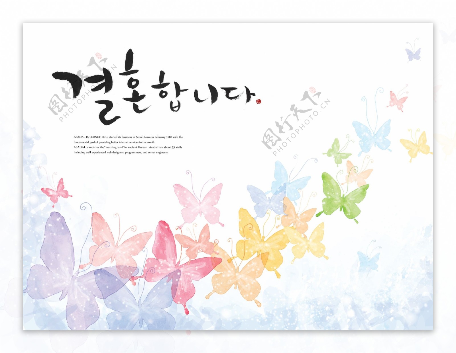 多彩颜色蝴蝶图案设计PSD分层素材