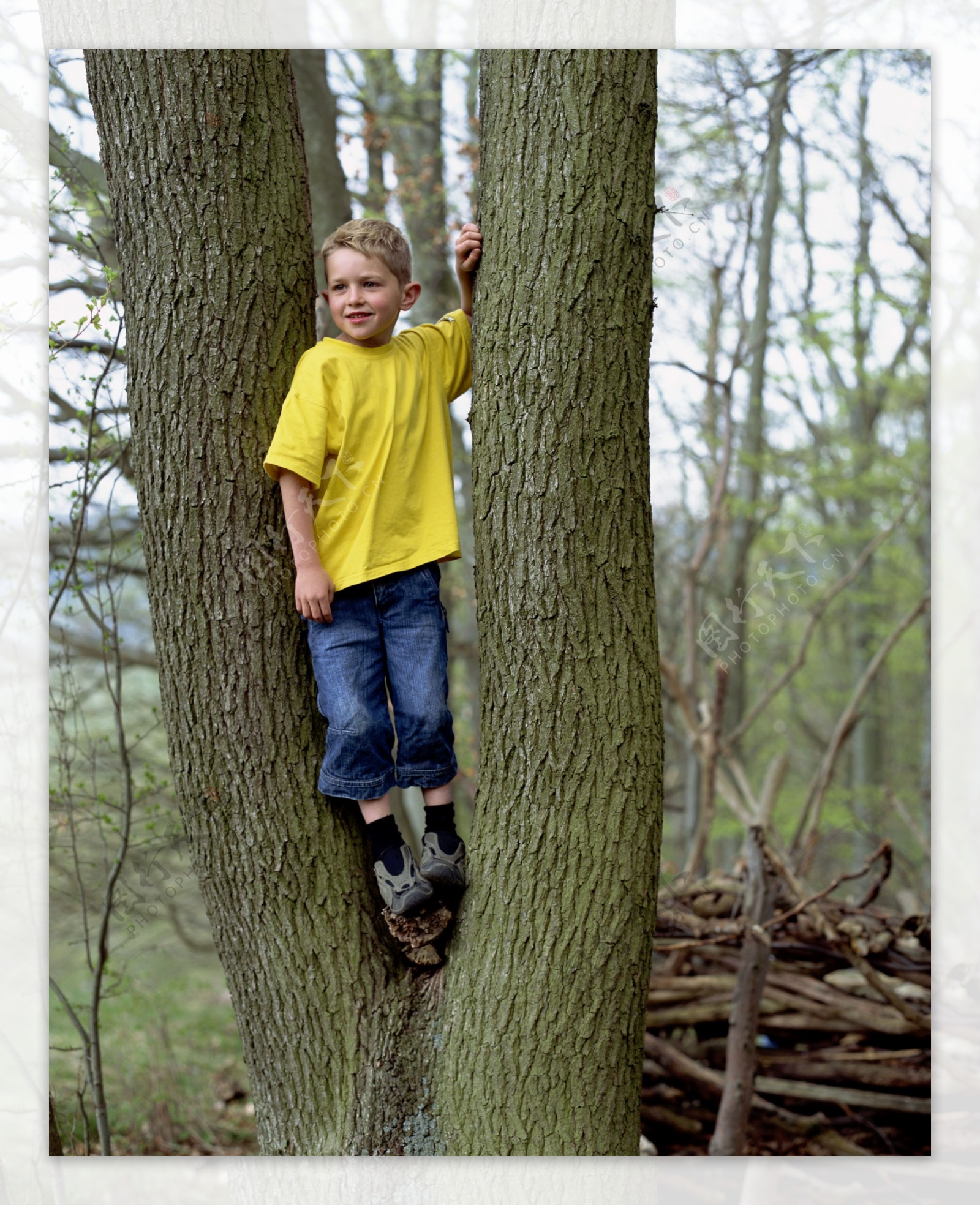 大树上的小男孩图片