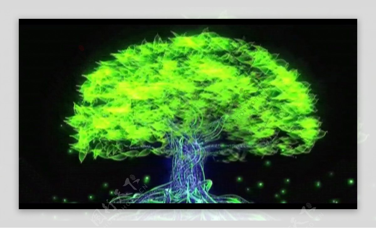 闪烁的绿颜色的树视频舞台背景