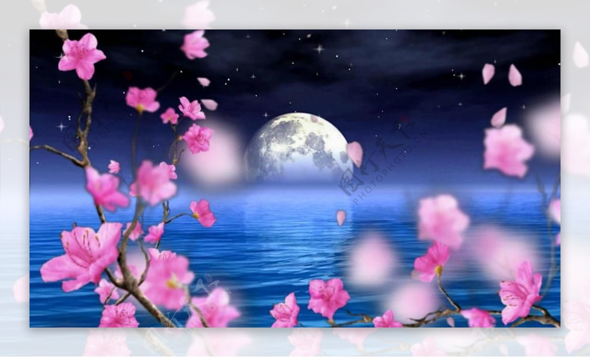 中秋月亮海面桃花