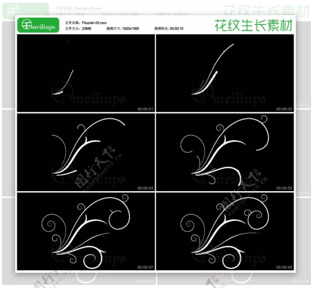 生长的花纹03视频素材