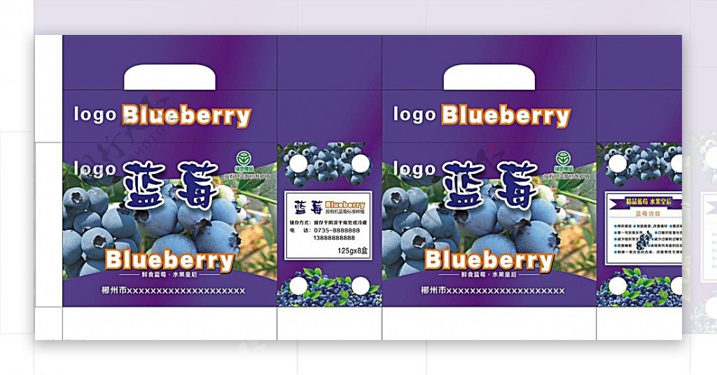 蓝莓盒子图片