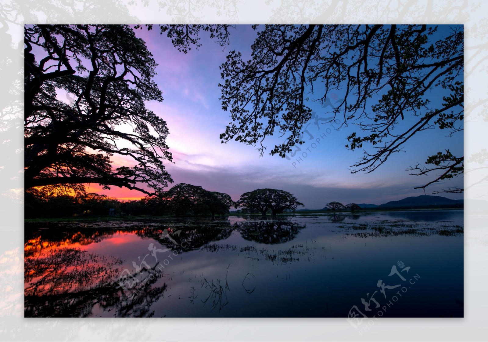 湖泊树木风景