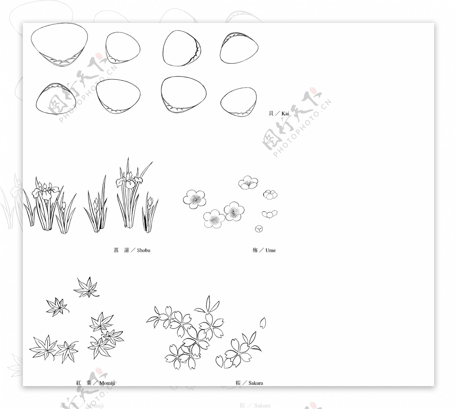 线描莒蒲红叶樱花梅花矢量EPS图片