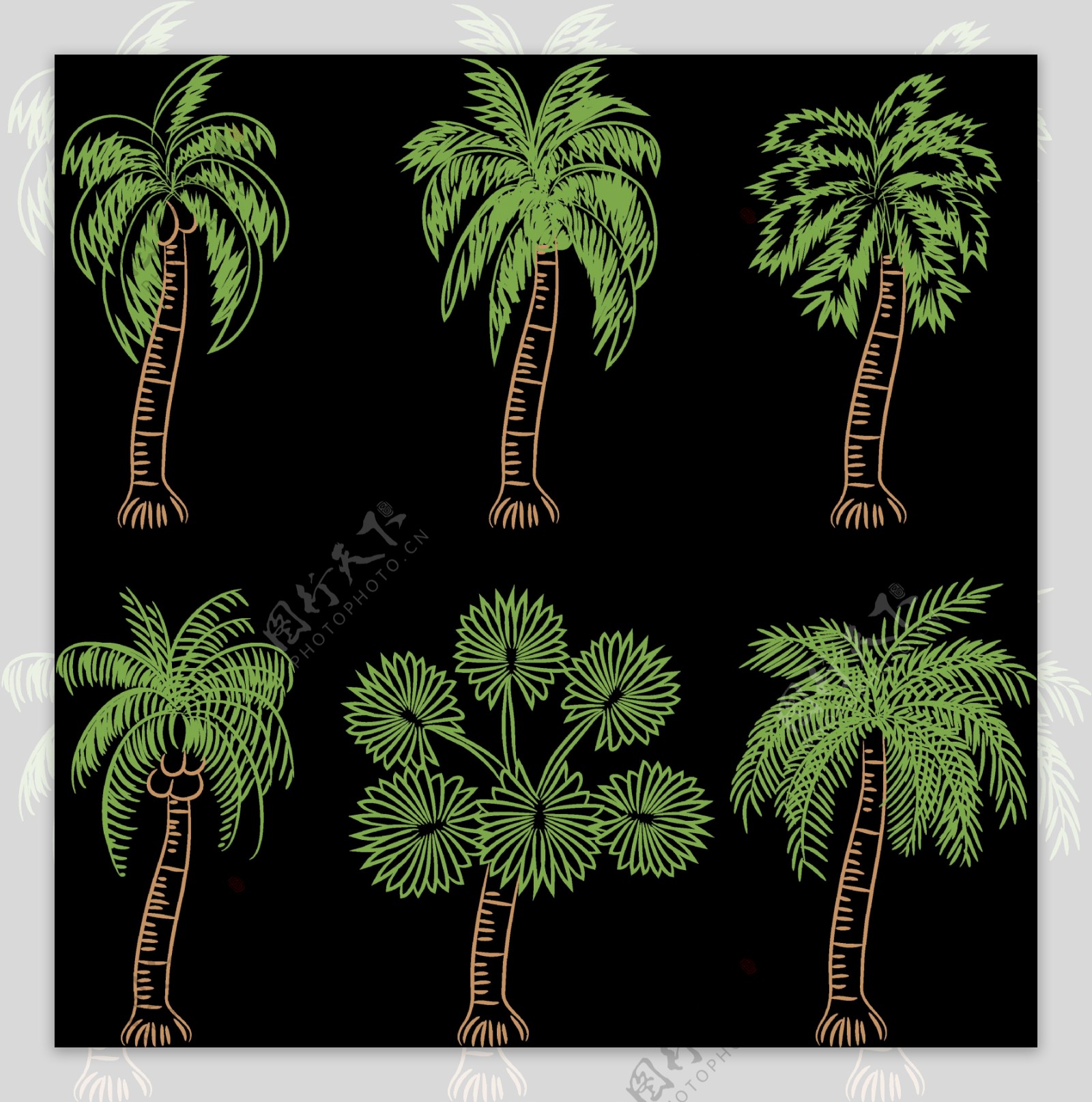 椰子树棕榈树免抠png透明图层素材