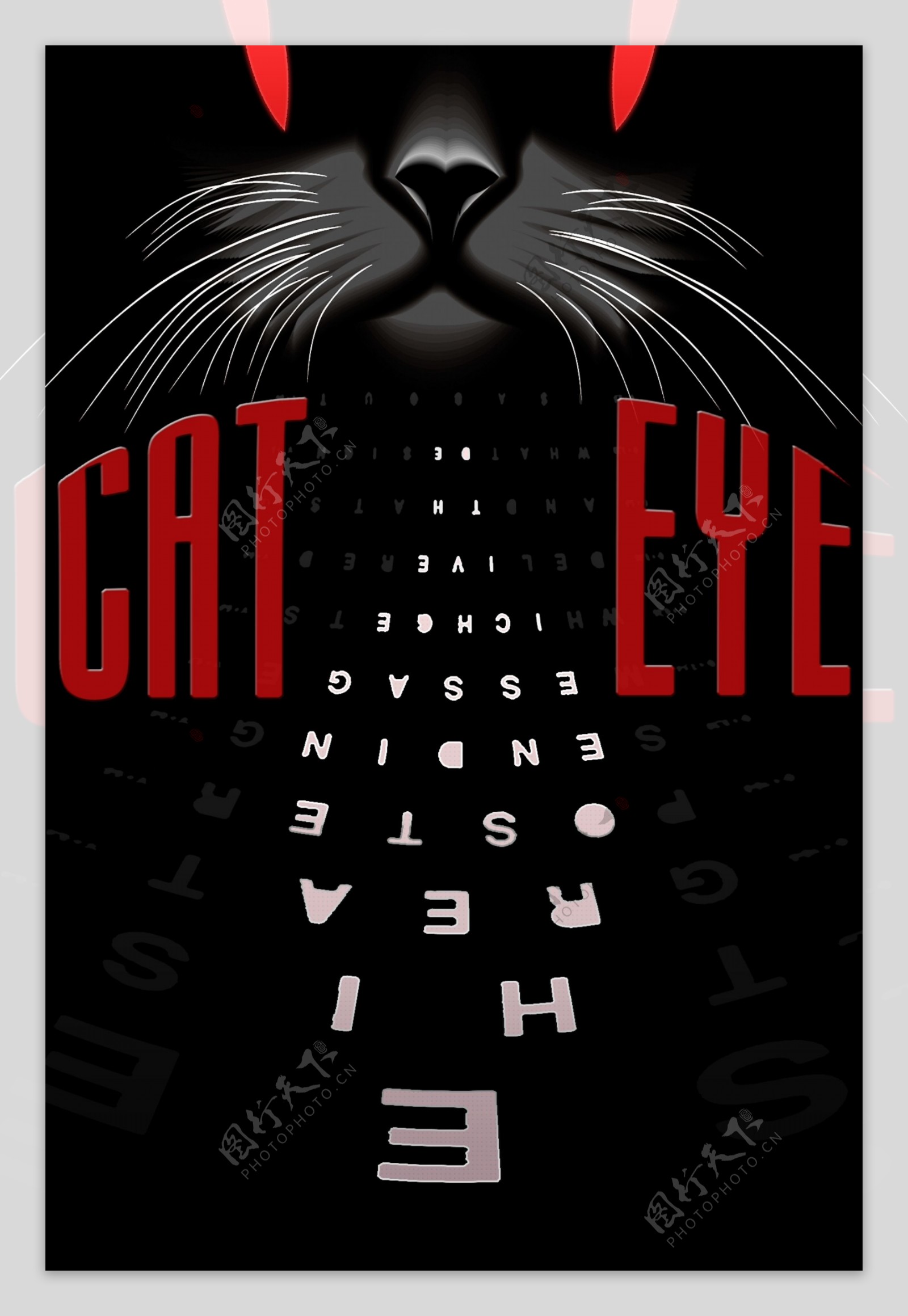 cateye猫眼