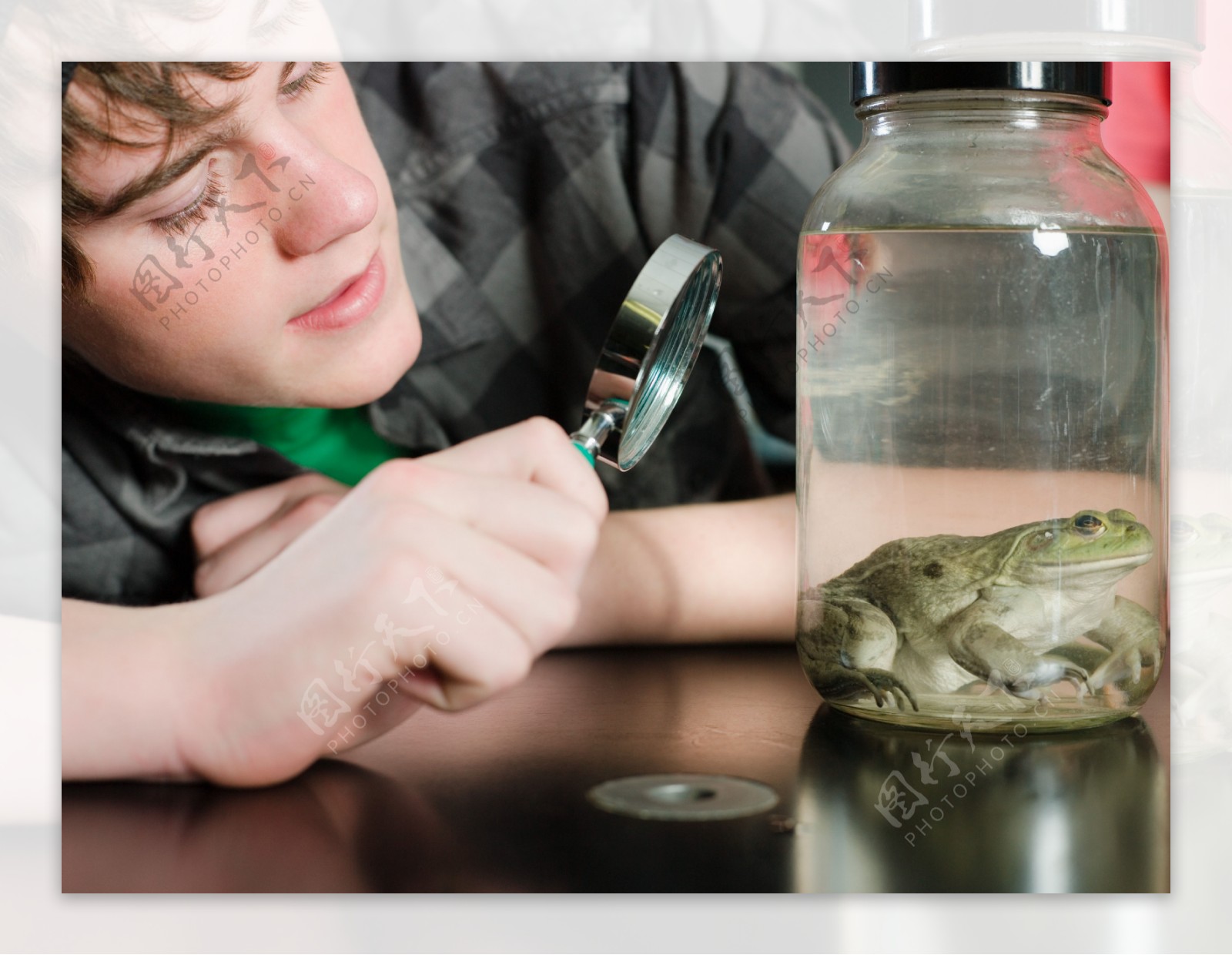 男孩放大镜观察玻璃瓶里的青蛙图片图片