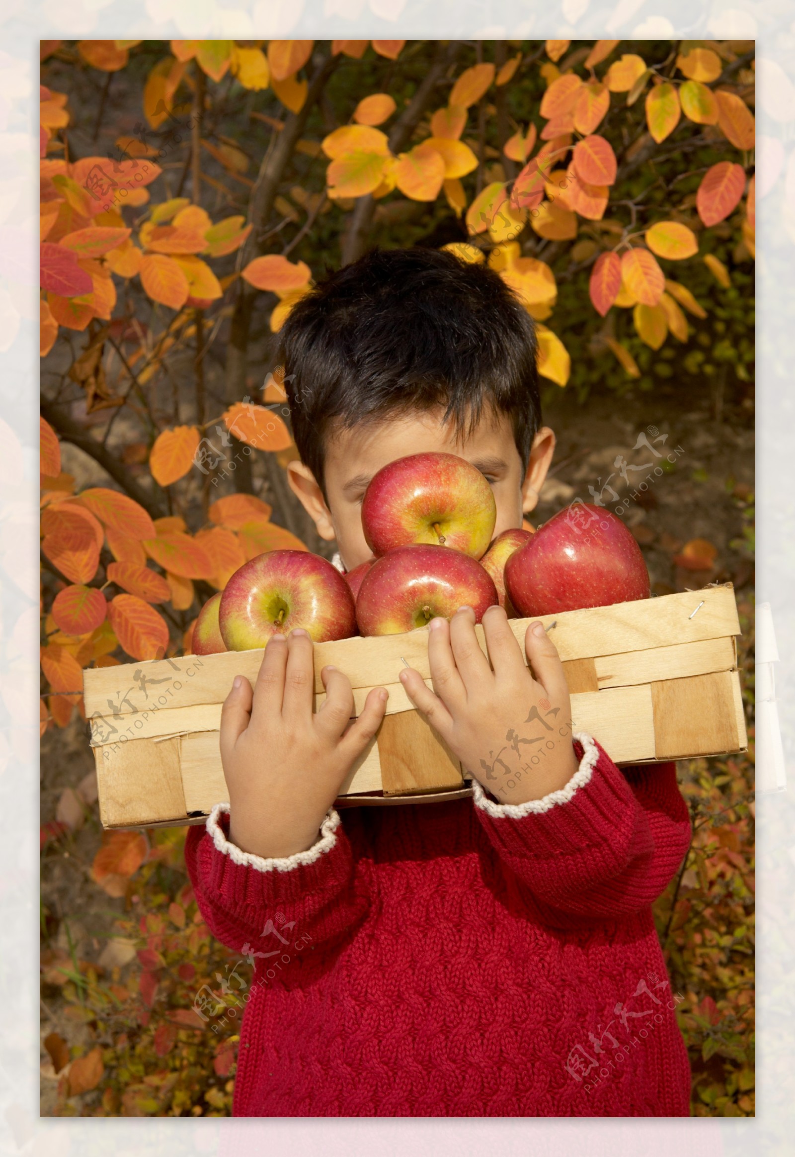 抱着苹果的国外儿童图片