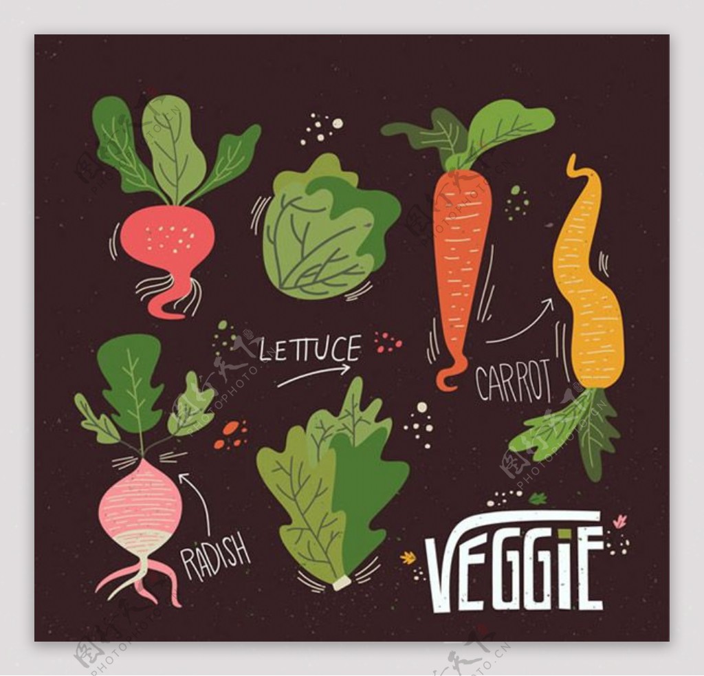 彩绘蔬菜矢量