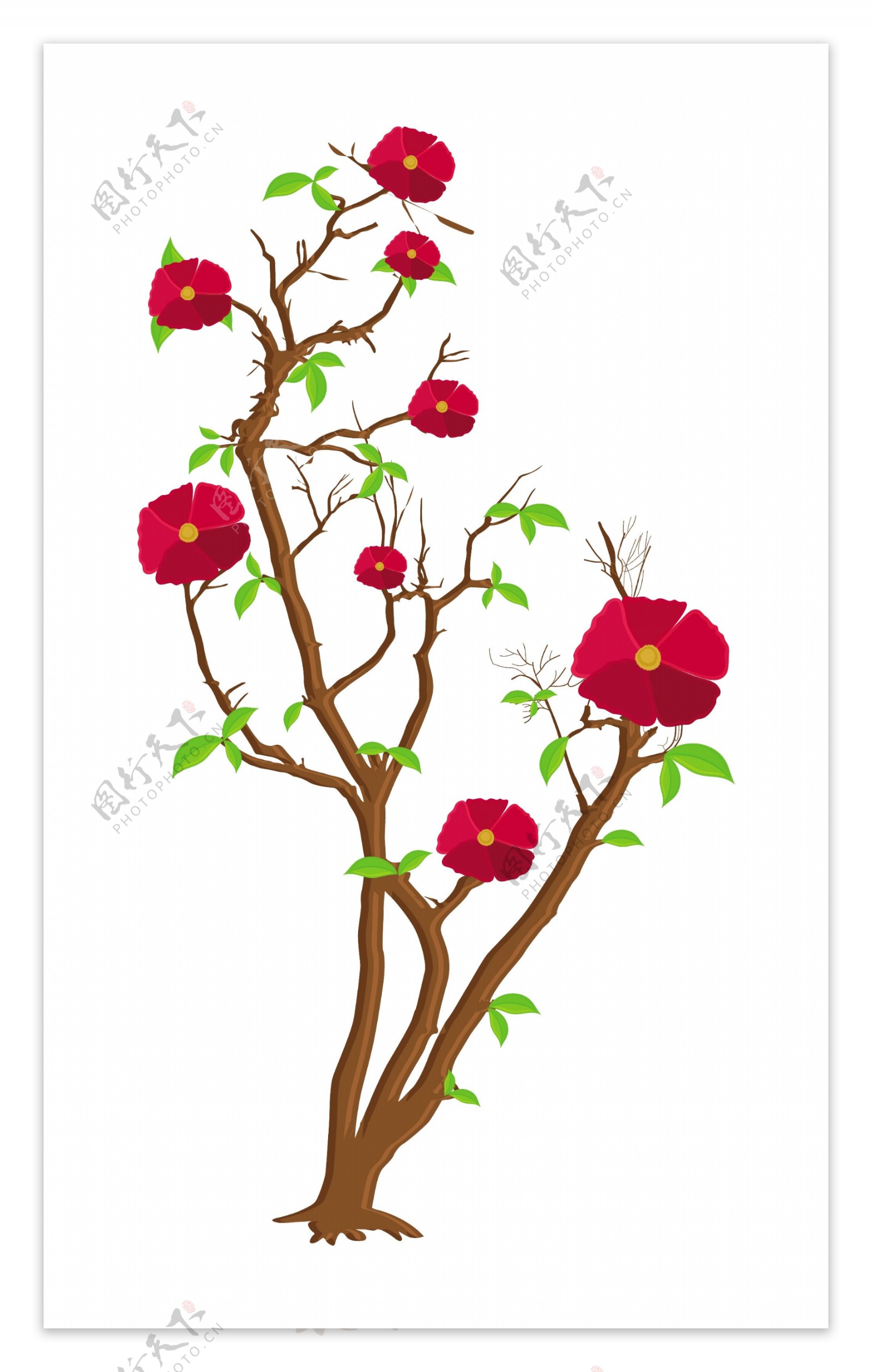 红色的花朵的树枝
