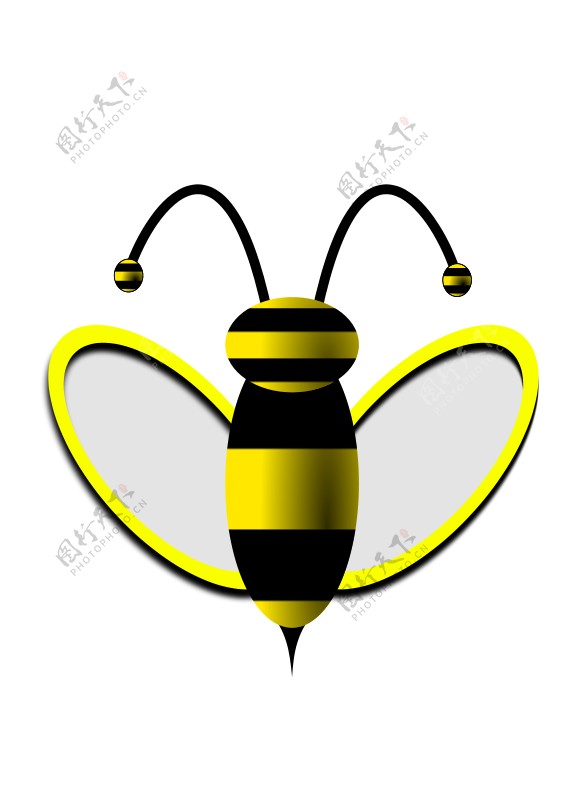 蜜蜂的剪辑艺术