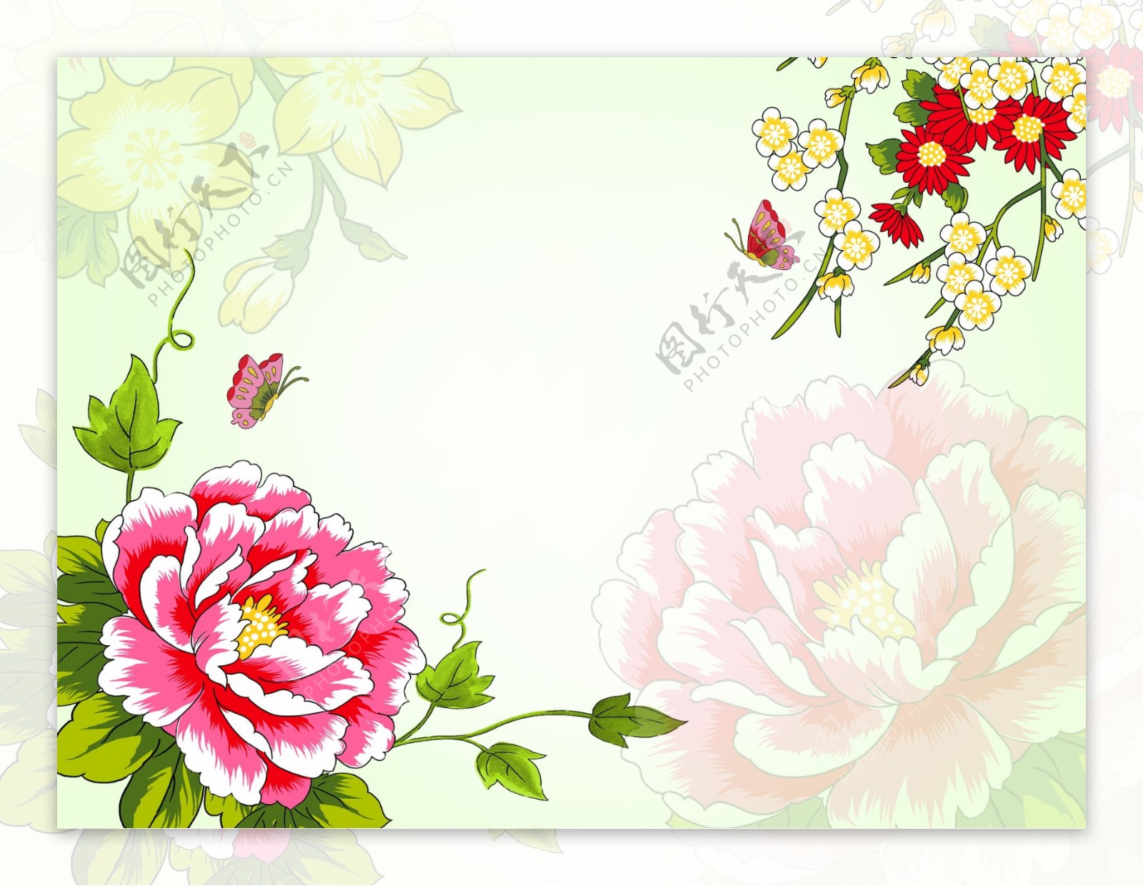 韩式花图片