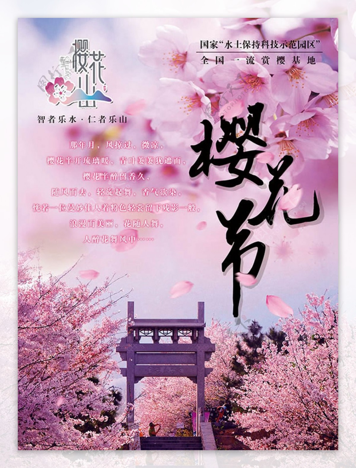一流赏樱基地樱花节宣传海报设计psd