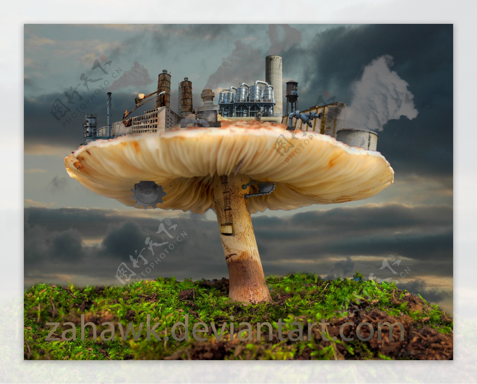 工业蘑菇