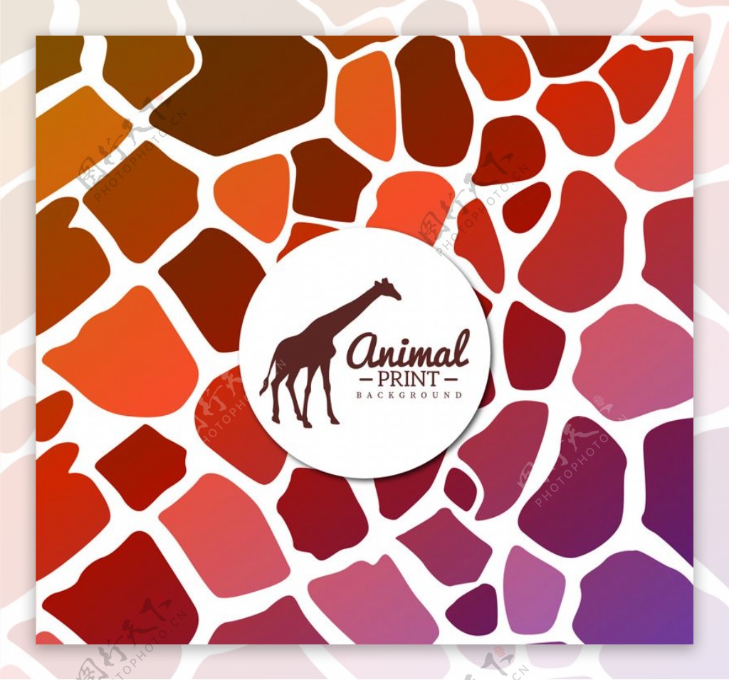 彩色长颈鹿剪影和皮纹背景矢量素材