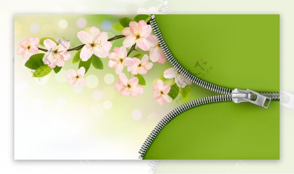 绿色和粉红色的花枝拉链背景