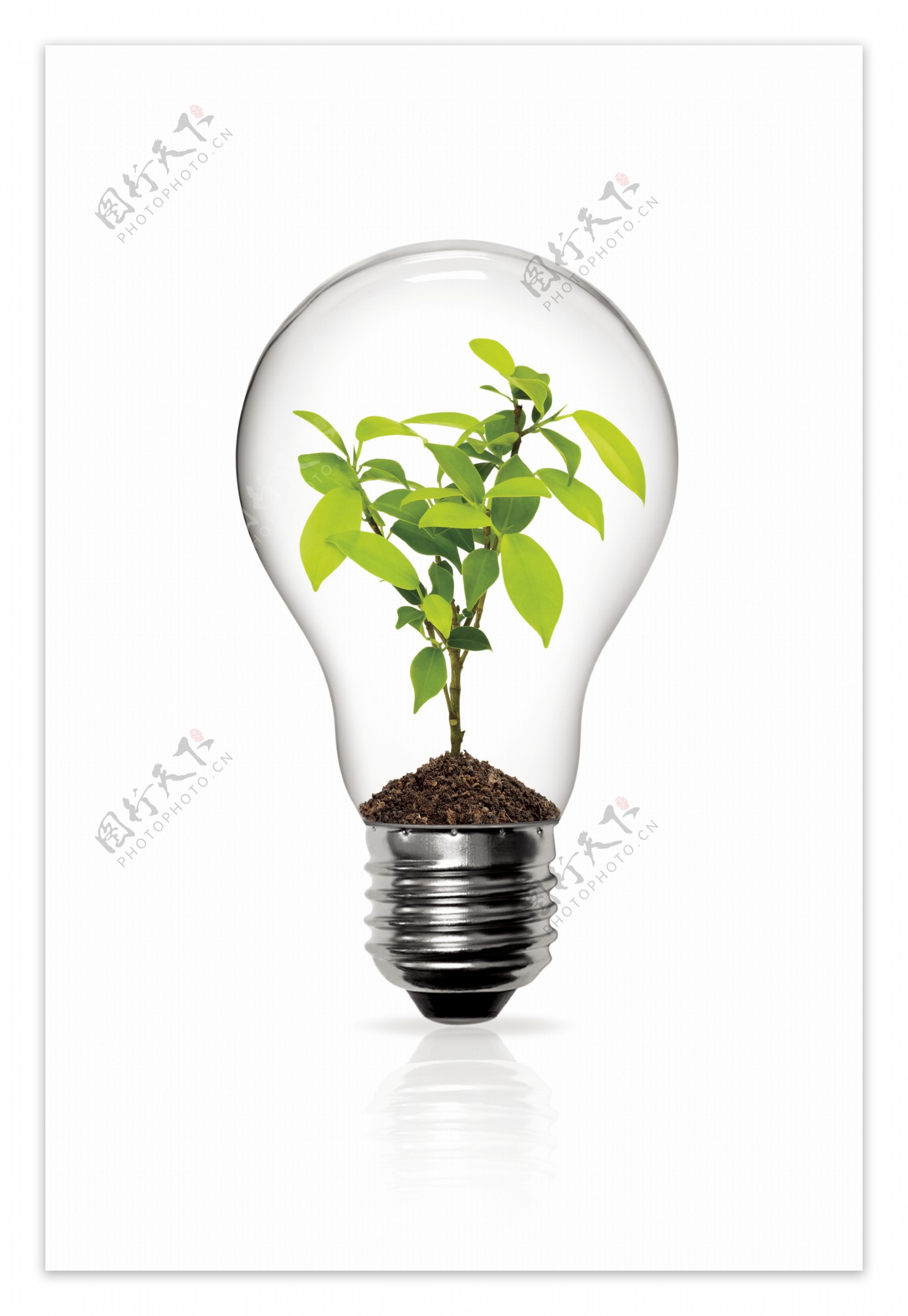 创意灯泡里的小树苗设计图片素材