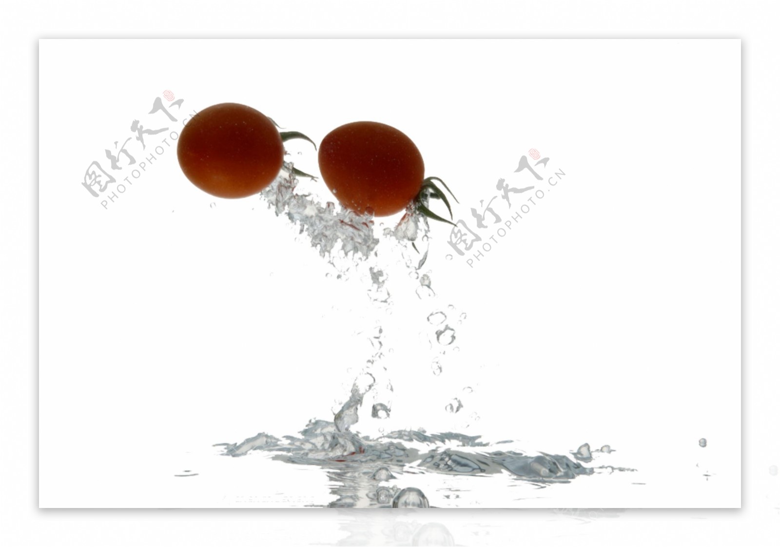 水滴和番茄