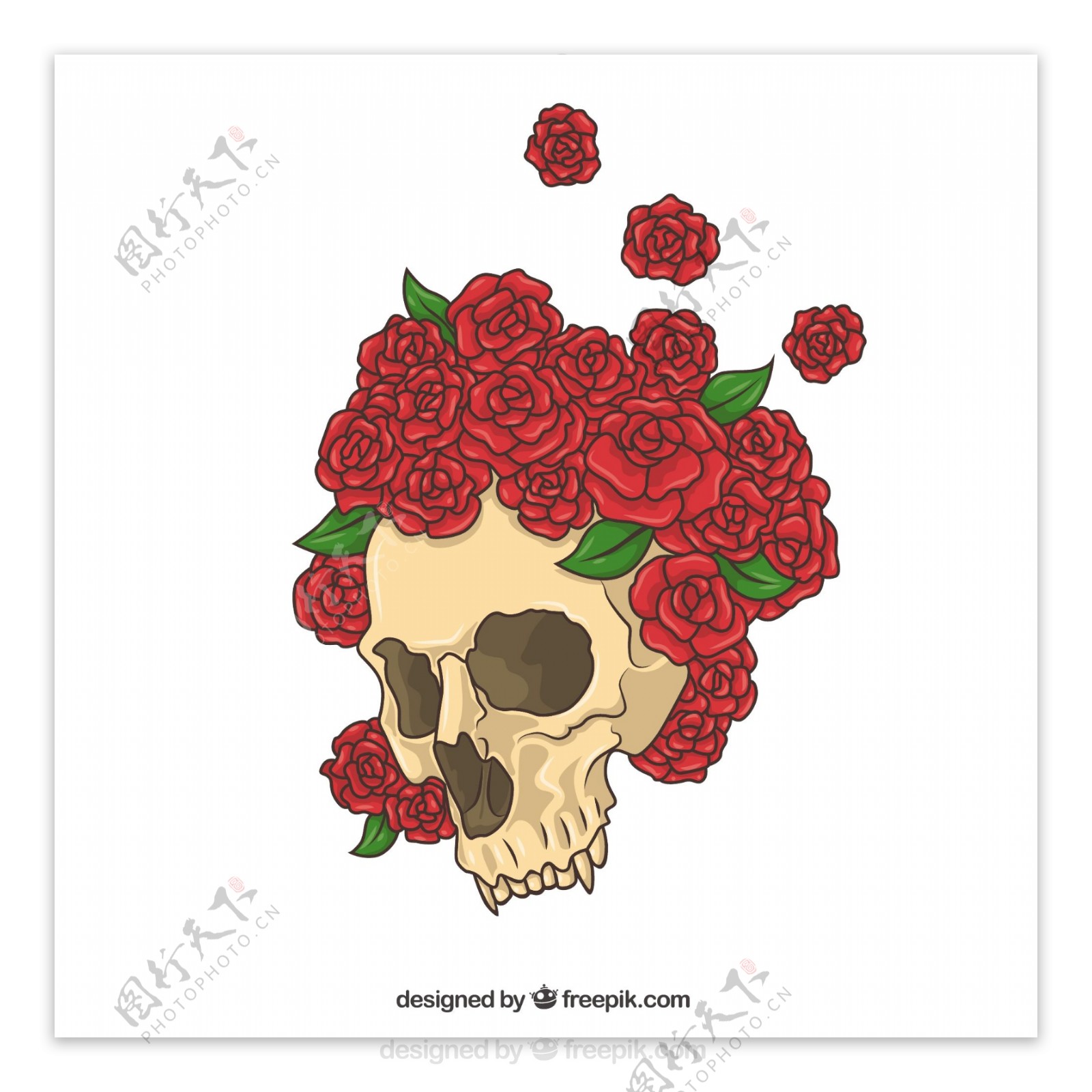 红玫瑰手绘骷髅