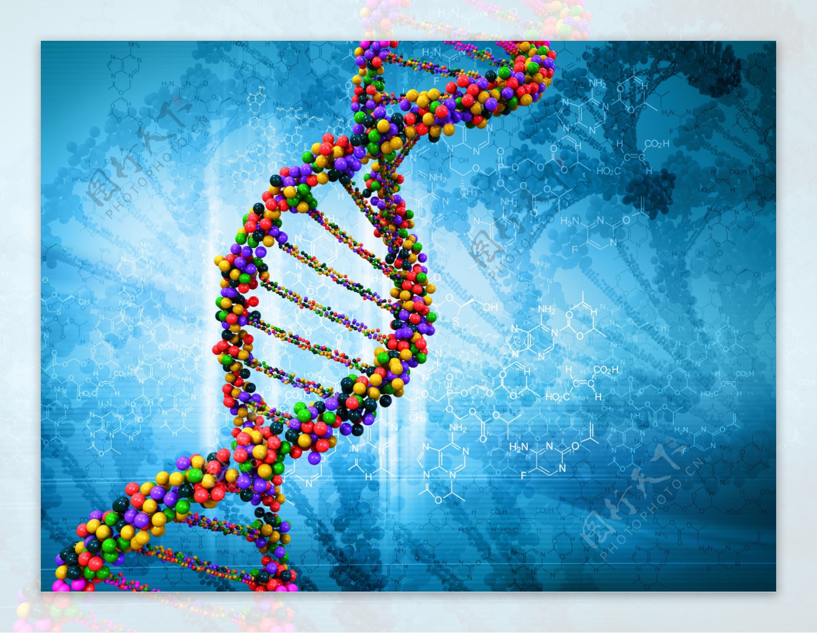 DNA分子学图片