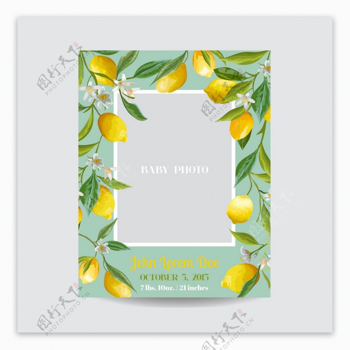 柠檬花朵相框图片