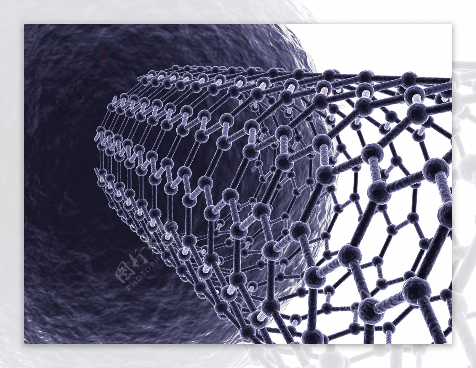 化学纤维结构图片