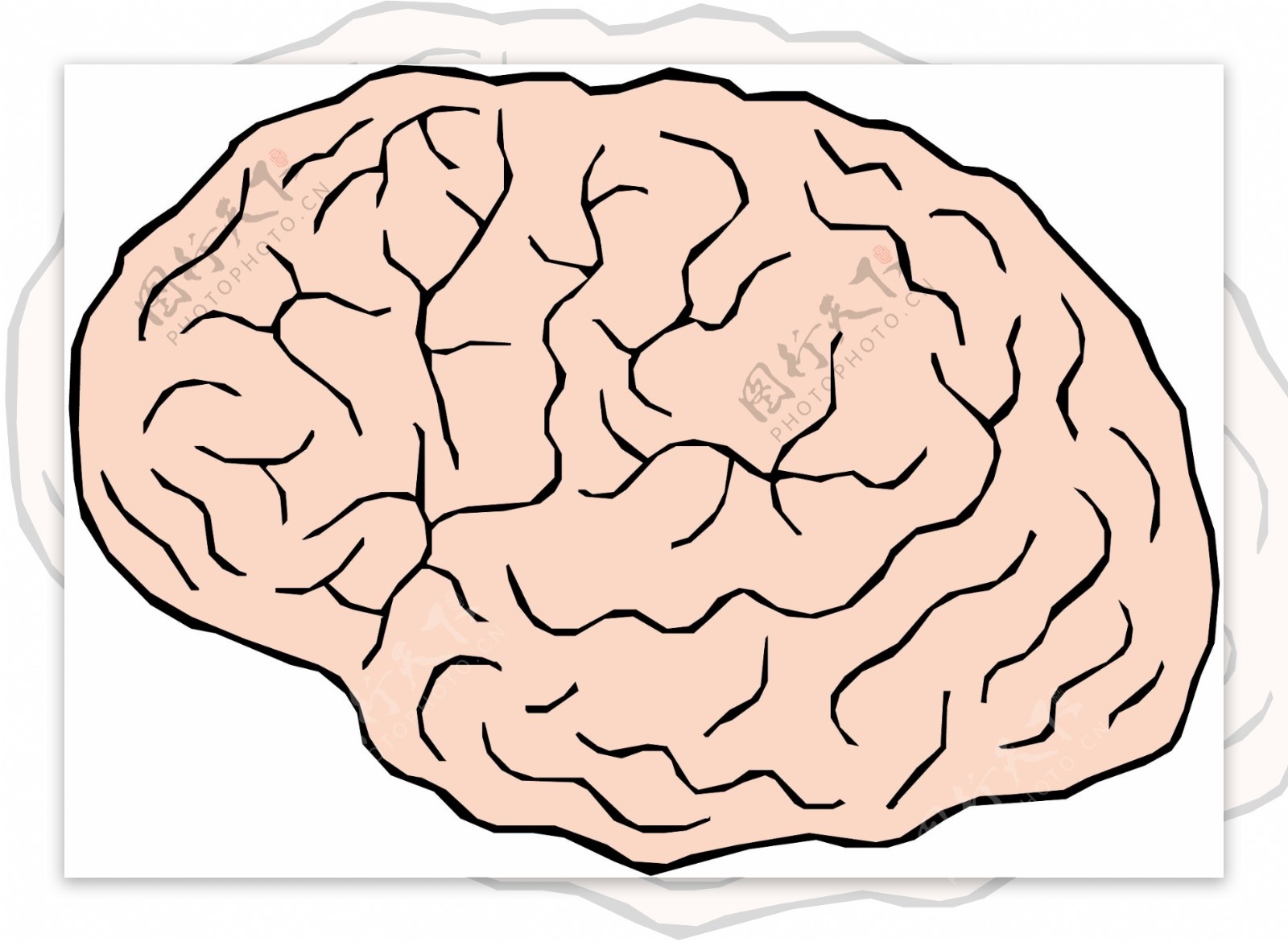 头颅大脑医用模型矢量素材EPS0049