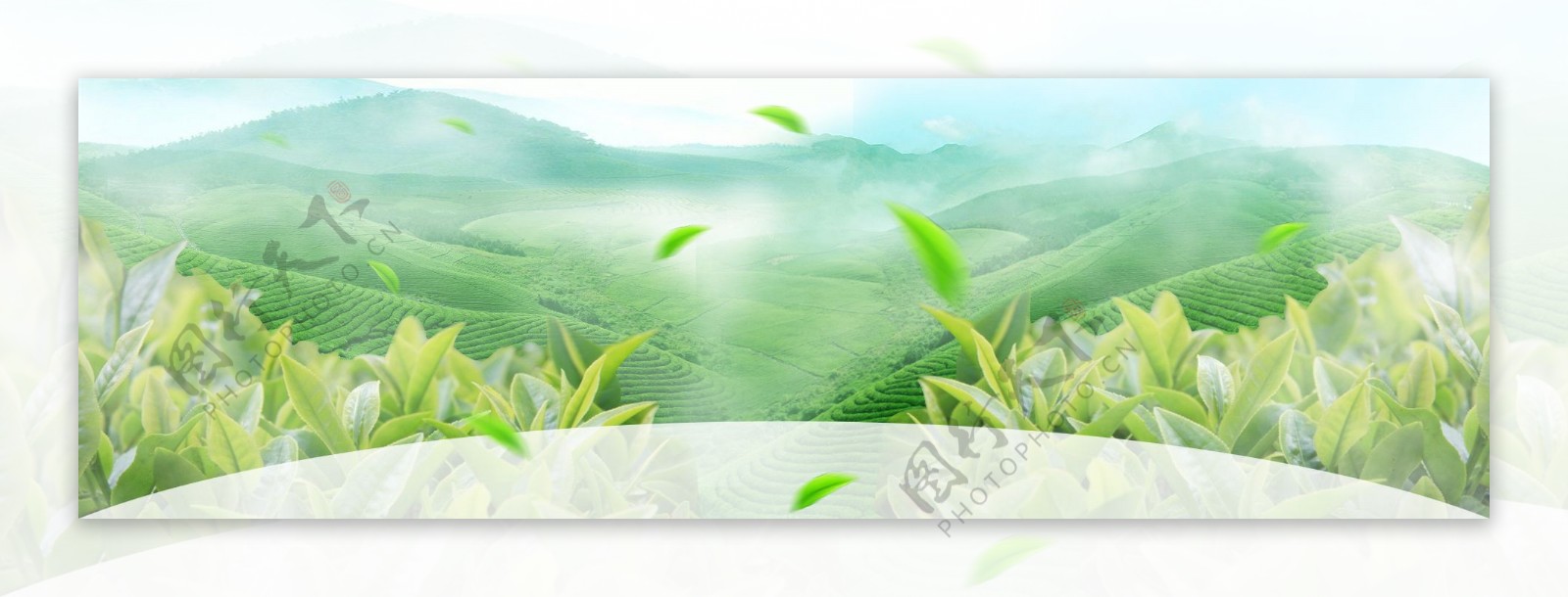 绿茶清新淘宝海报背景