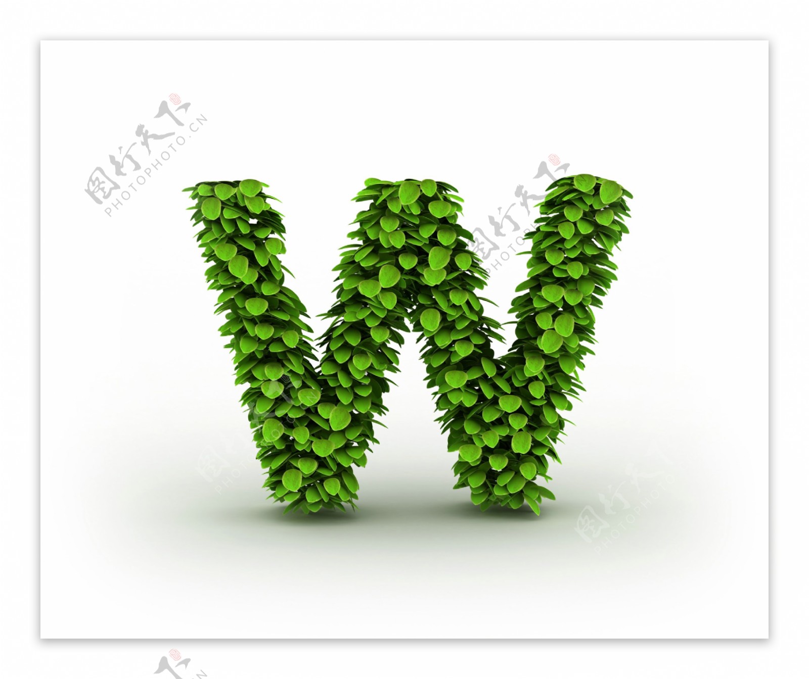 字母W设计素材
