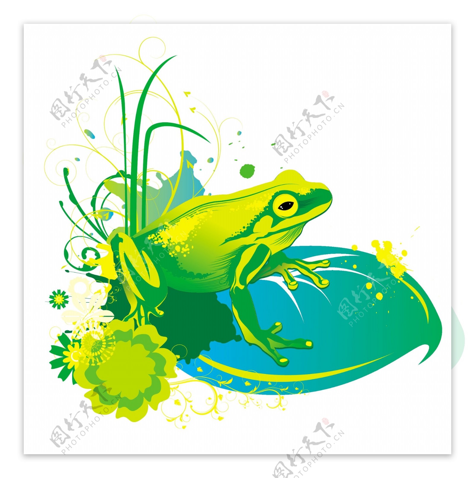 青蛙矢量春天的插图