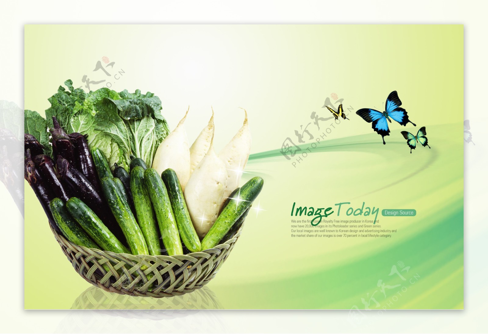 蔬菜1.jpg