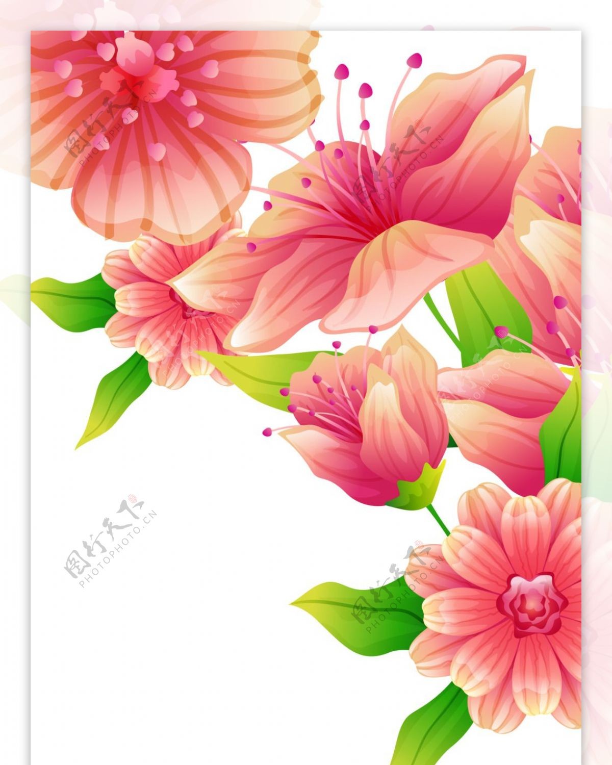 精美粉红花朵儿展板背景