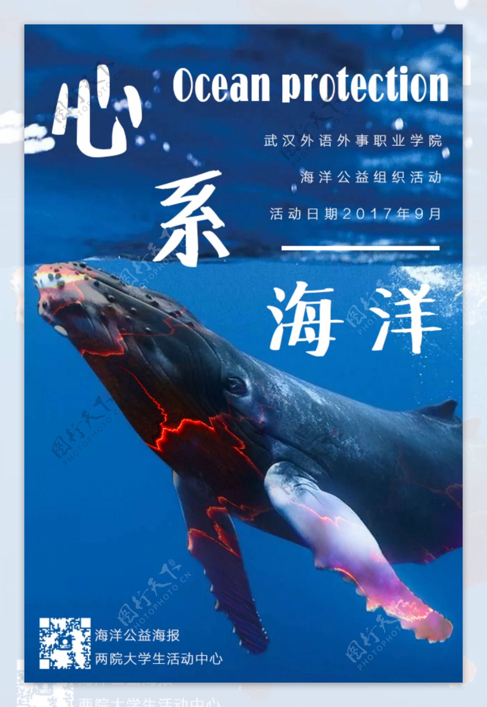 心系海洋保护海洋公益海报