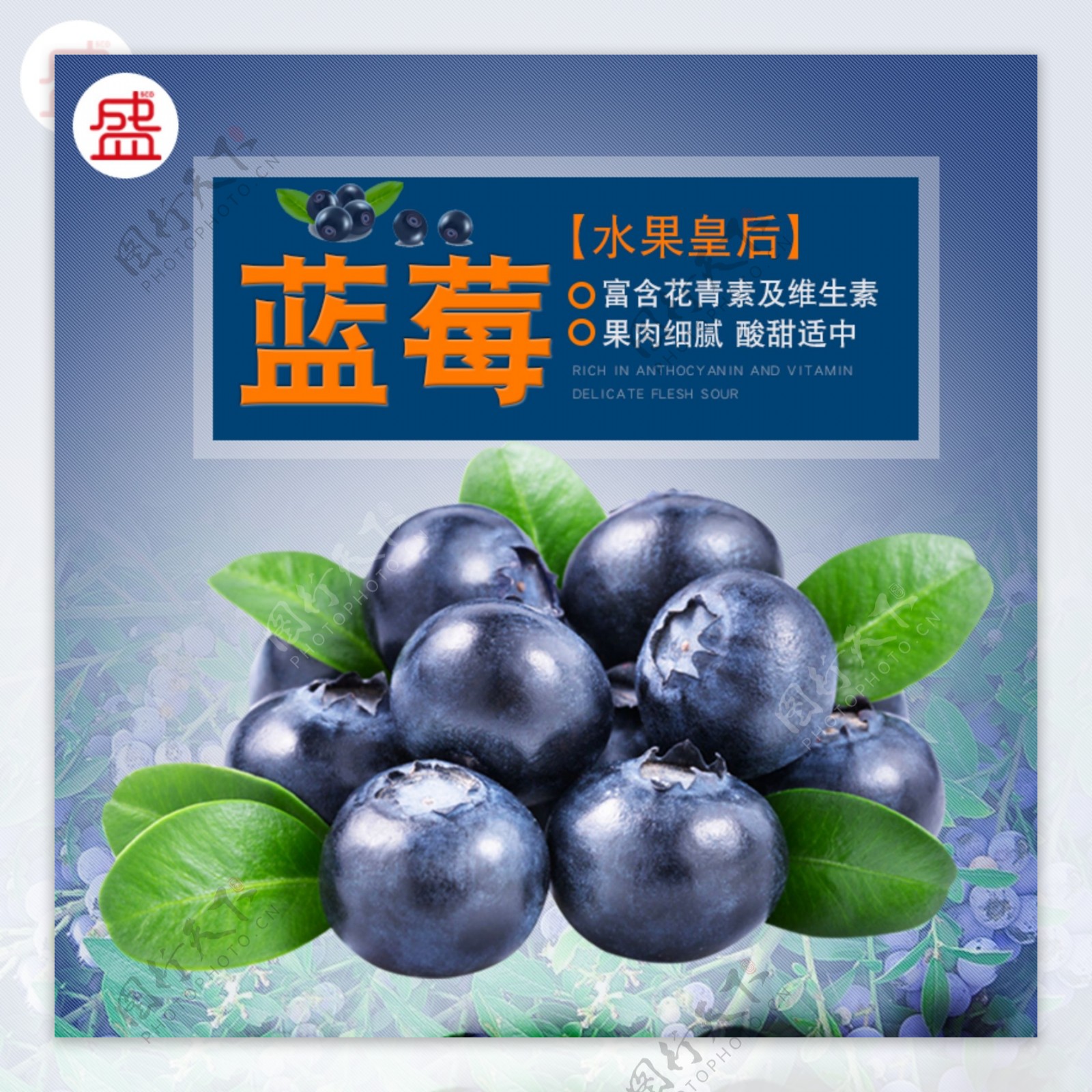 蓝莓鲜果主图